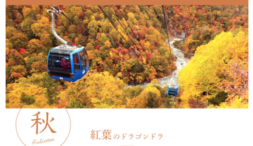 【割引券あり】苗場ドラゴンドラで空中から新緑・紅葉を楽しもう