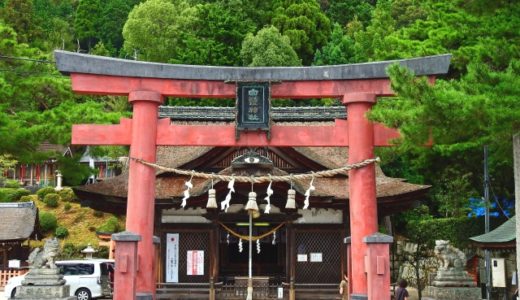 新潟の初詣にカップルで行くならここの神社がおすすめ！！！！