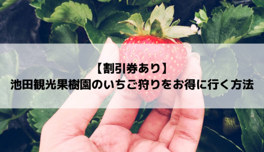 【割引券あり】池田観光果樹園のいちご狩りをお得に行く方法
